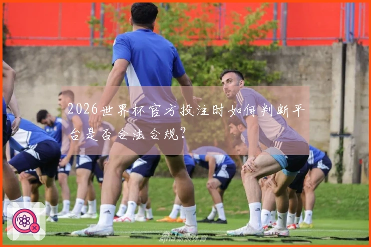 2026世界杯官方投注时如何判断平台是否合法合规?