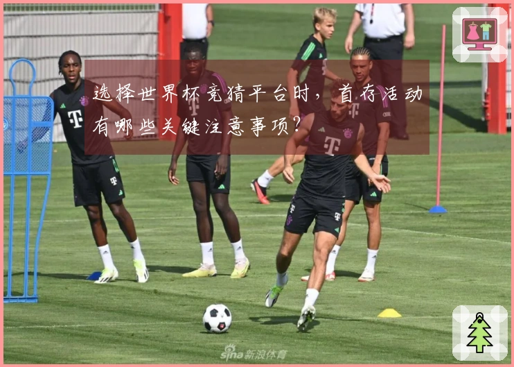 选择世界杯竞猜平台时，首存活动有哪些关键注意事项？